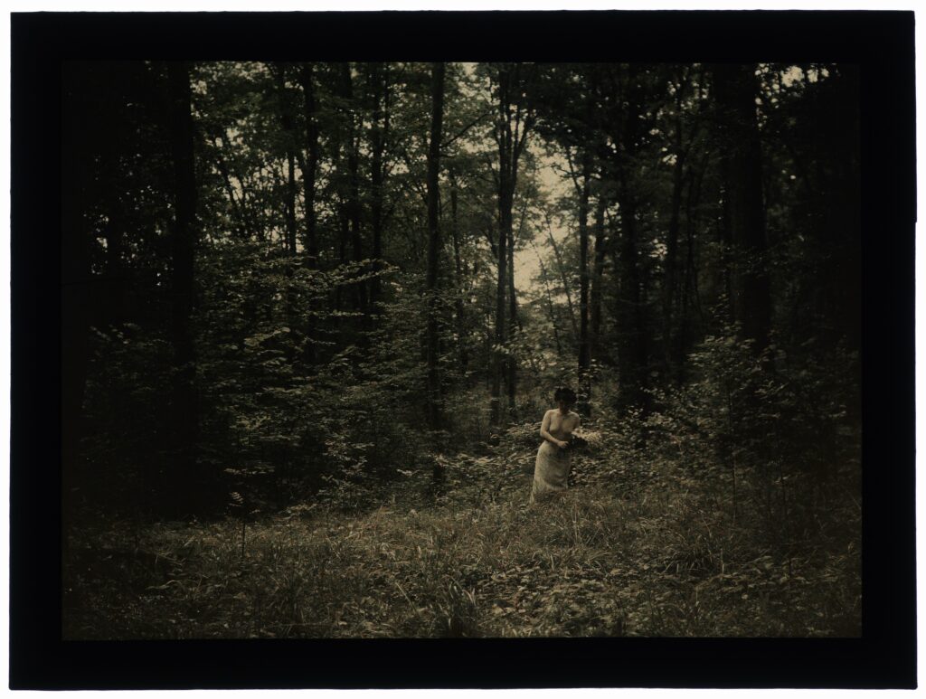 Naked Woman In The Woods Color France S Picryl Public Domain