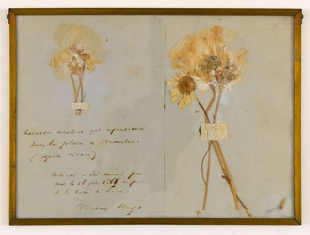 Cocardes Tricolores Form Es De Fleurs Cueillis Par Victor Hugo