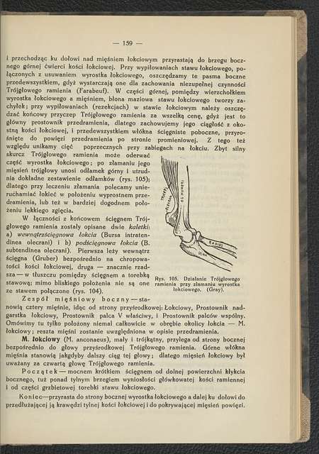 Anatomia Topograficzna Konczyny Gornej Picryl