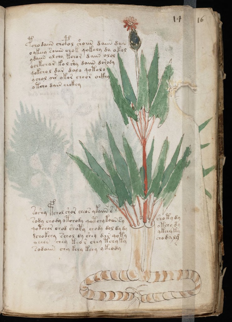 voynich manuscript replica