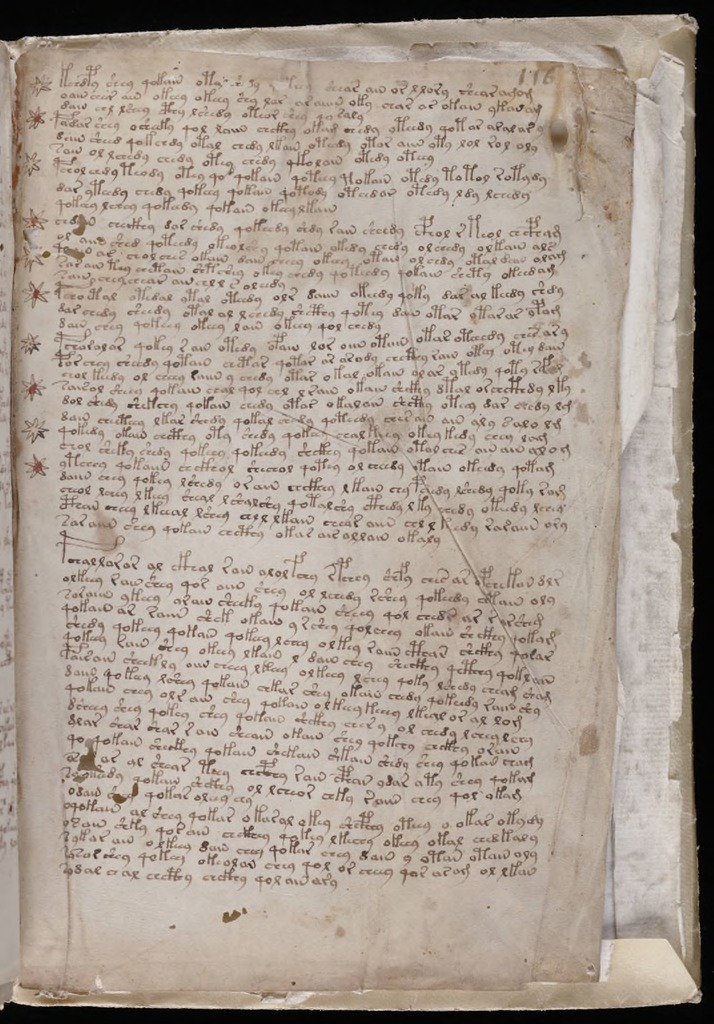 voynich manuscript translation turkish