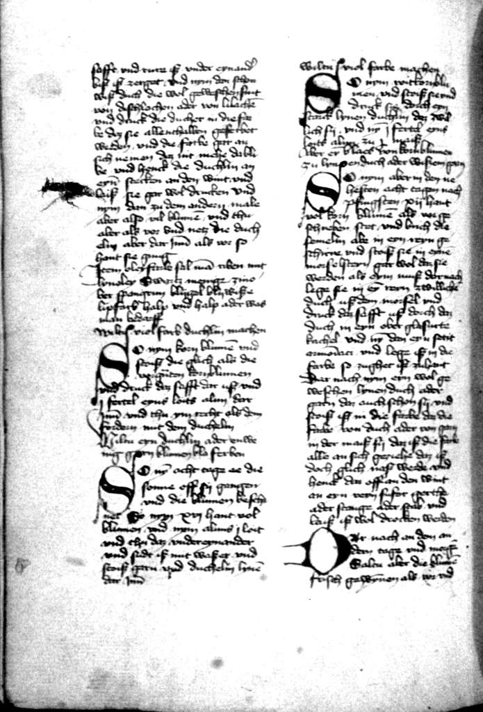 Kodex Berleburg, fol. 247v Stock Photo - Alamy
