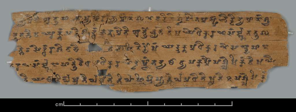 A palm leaf Sanskrit manuscript in Brahmi script from Miran China