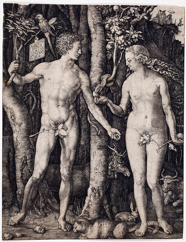 41 Engraving of adam and eve by durer 1504 Images: PICRYL - Public Domain  Media Search Engine Public Domain Search