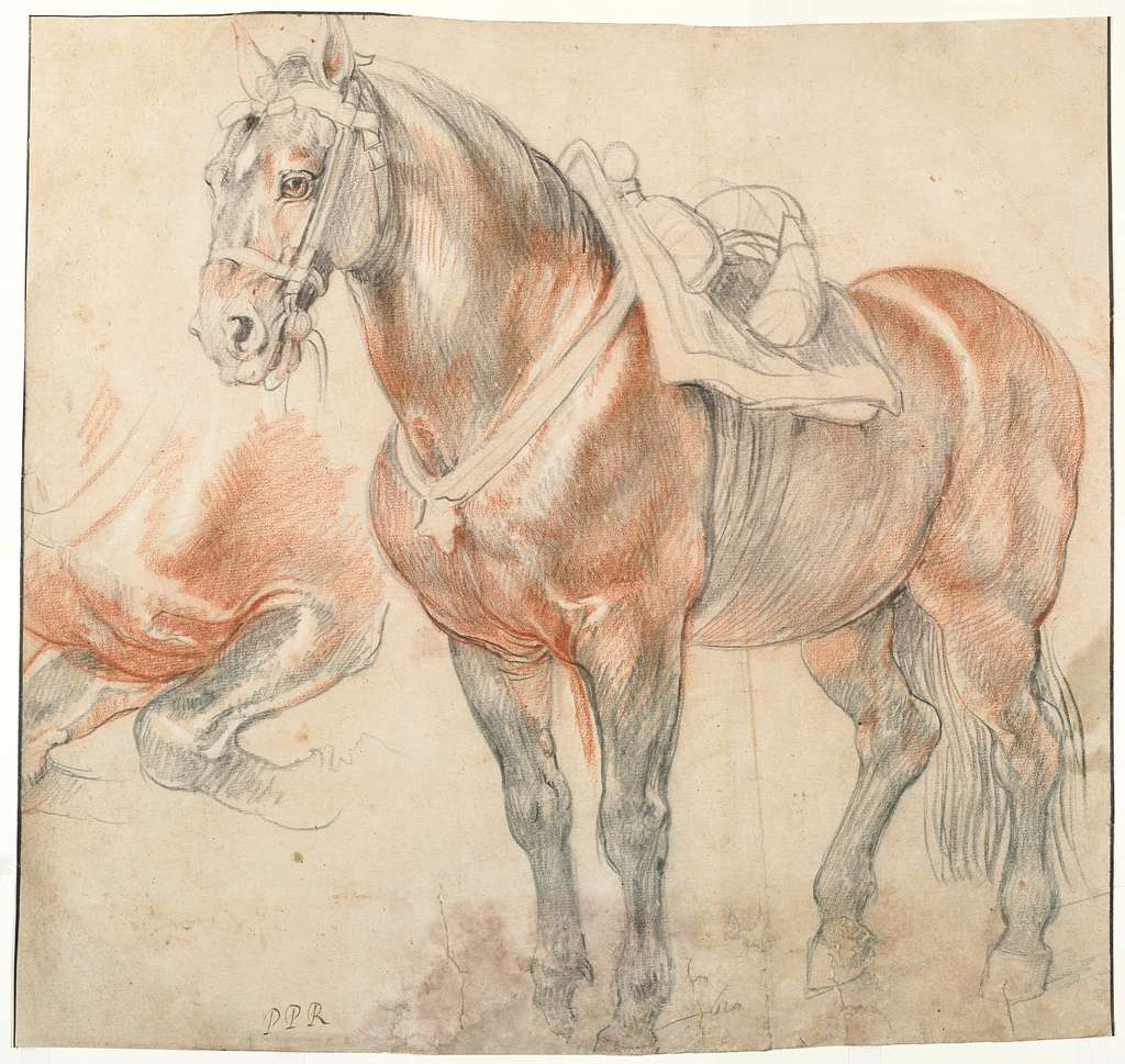 Veuve and The Horseman – PeterStridArt