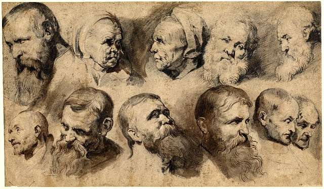 Peter Paul Rubens Sheet Of 11 Studies Of Heads Picryl Public Domain