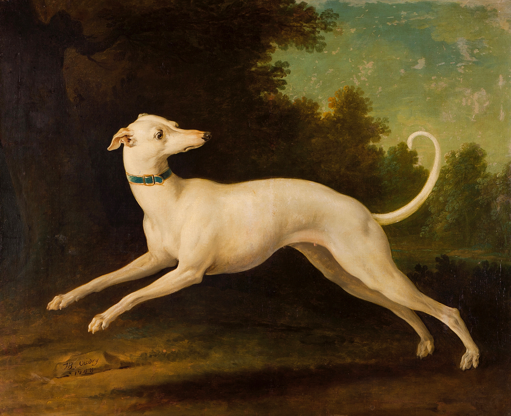 Greyhound painting best sale