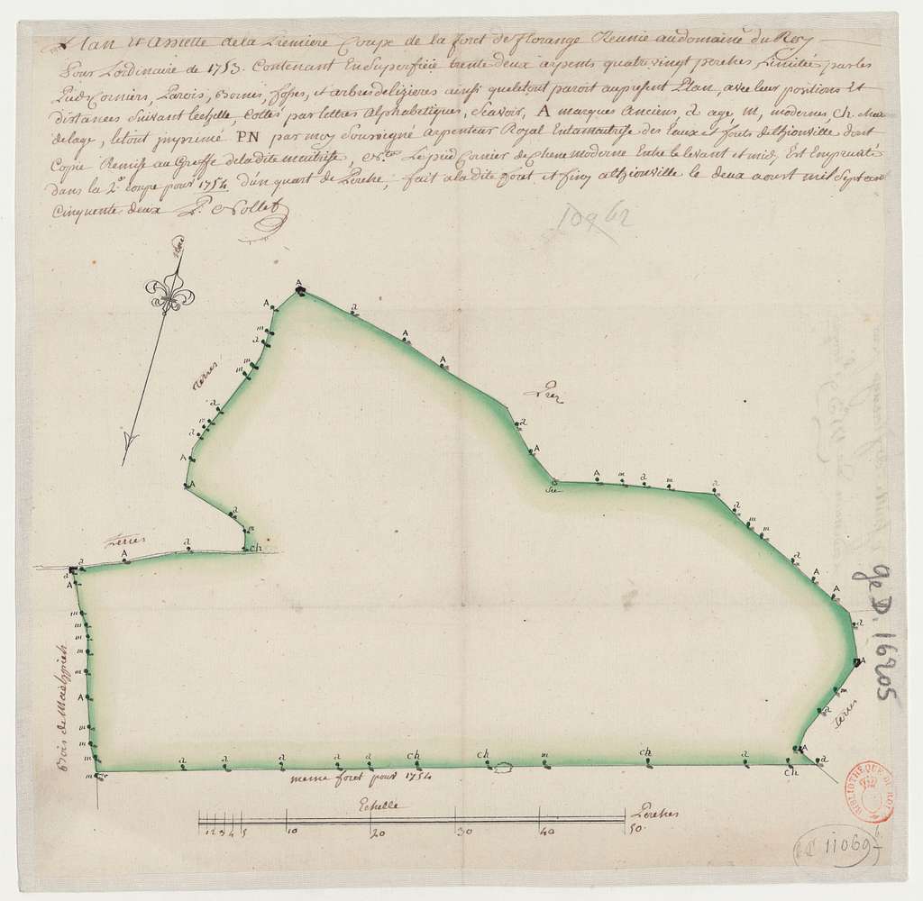 Plan Et Assiette De La Première Coupe De La Forêt De Florange Réunie Au