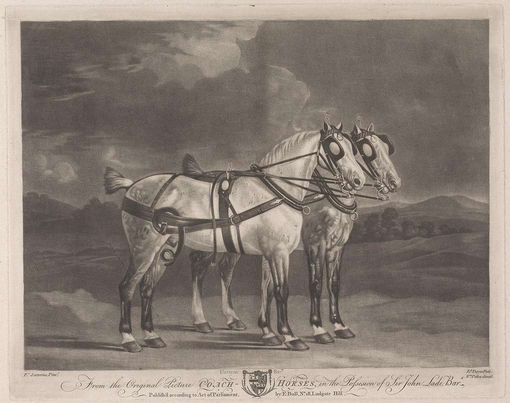 BRITISH DRAUGHT HORSES IN THE 19TH CENTURY