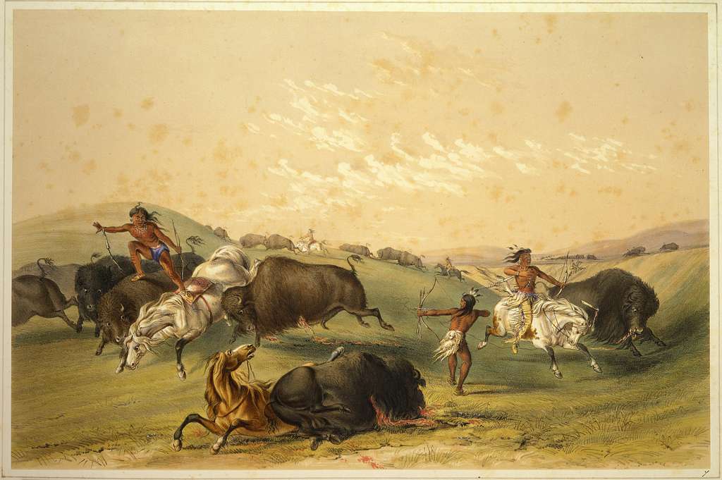 Drawing of a native American hunting a bison], Collections