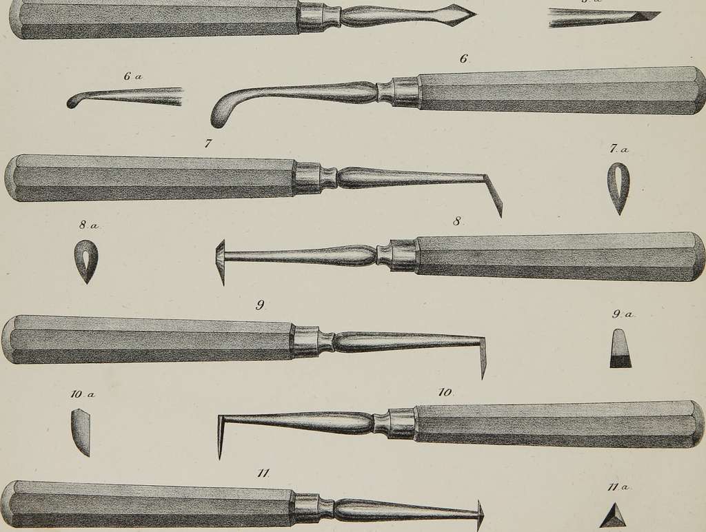 Scalers;The anatomy, physiology and pathology of the human teeth (1844 ...