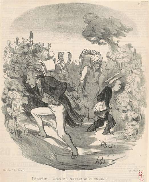 Honoré Daumier, Ah! Saperlotte! ... Le Raisin N'est Pas Bon Cette Année ...