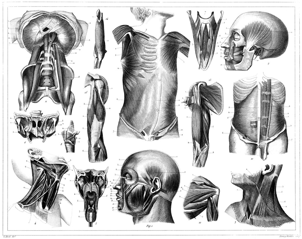 Geography & Planography - Iconographic Encyclopædia of Science, Literature,  and Art