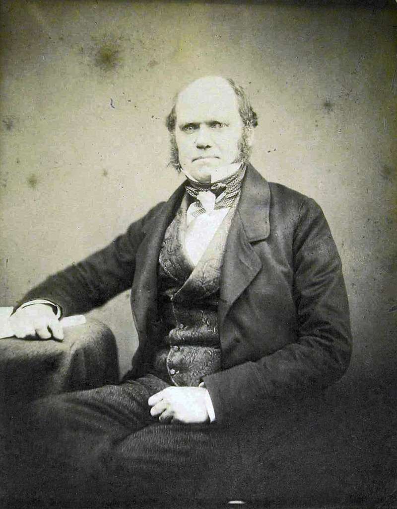 Charles Darwin in 1855 - PICRYL - Public Domain Media Search Engine ...