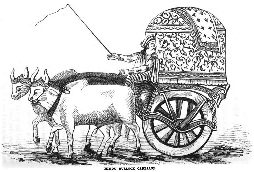 Bullock Cart - Satish Khot - Drawings & Illustration, Vehicles &  Transportation, Farm Equipment - ArtPal