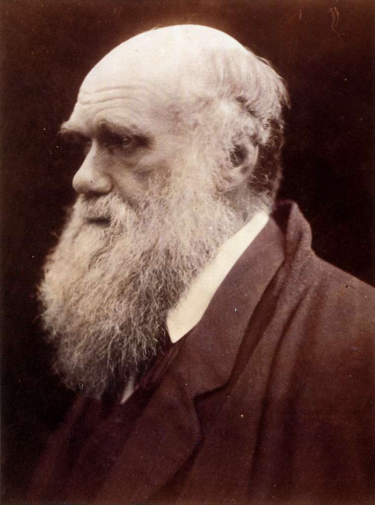 Charles Darwin by Julia Margaret Cameron 3 PICRYL Public Domain