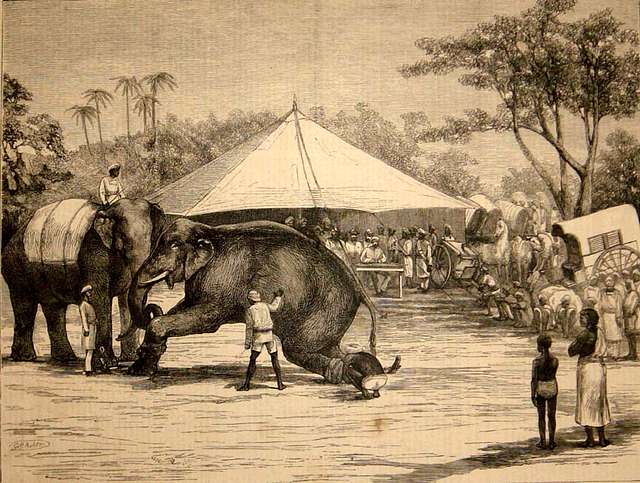 An Elephant Auction in Mysore, India - The Graphic 1875 - PICRYL Public ...