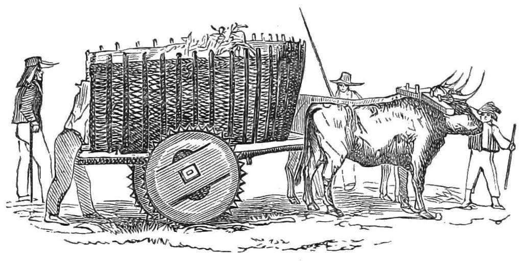 Bullock Car: Over 33 Royalty-Free Licensable Stock Illustrations & Drawings  | Shutterstock