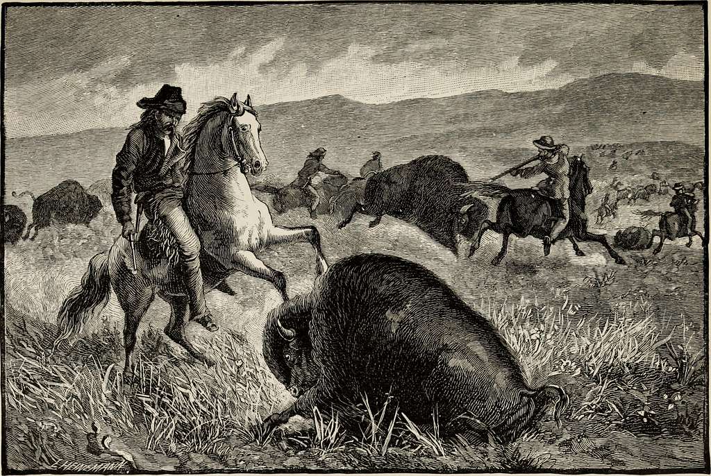 File:American Bison hunting action.jpg - Wikimedia Commons