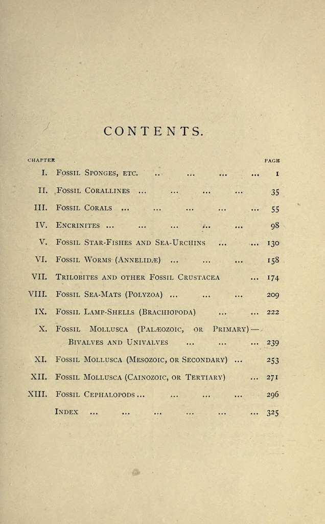 Our common British fossils and where to find them BHL22164782 - PICRYL ...