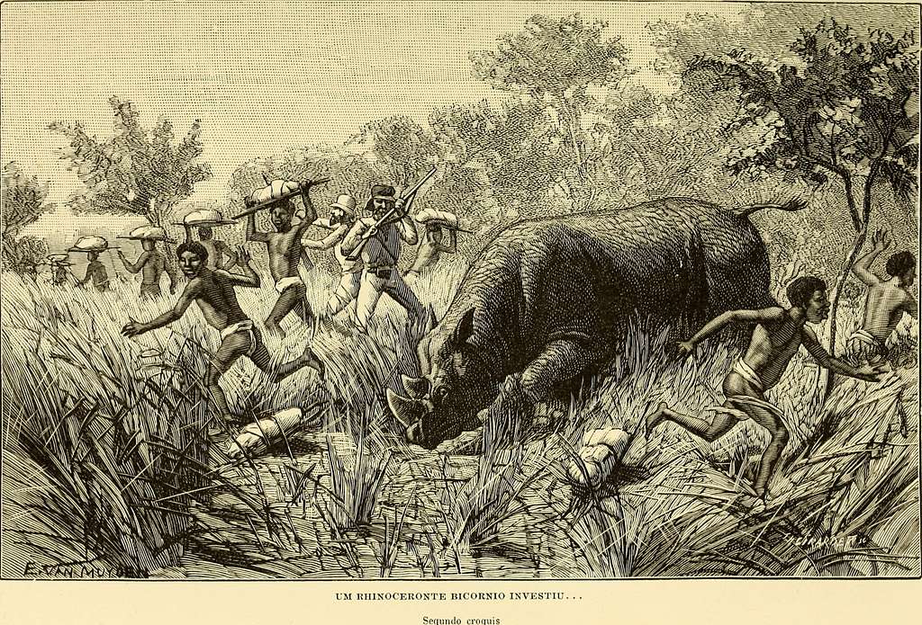 De Angola á contra-costa; descripção de uma viagem atravez do continente  africano. Natural history. . . PARA ALI SE QUEDAVAM SENDO NECESSÁRIO AS  MAIS ENÉRGICAS . . Quando em 1877 partimos