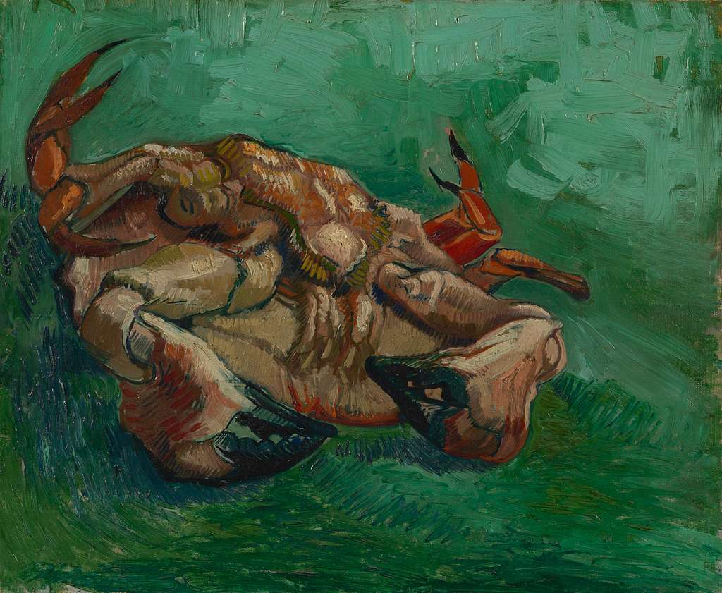 Crustacean, lying on his back by Vincent van Gogh (Van Gogh museum  photograph) - PICRYL - Public Domain Media Search Engine Public Domain  Search