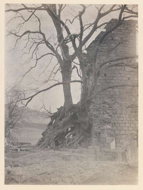 Wall Adjoining The Abbot's House, Kirkstall Abbey, Near Leeds, West ...