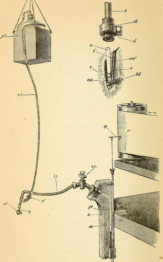 A text-book of comparative physiology for students and