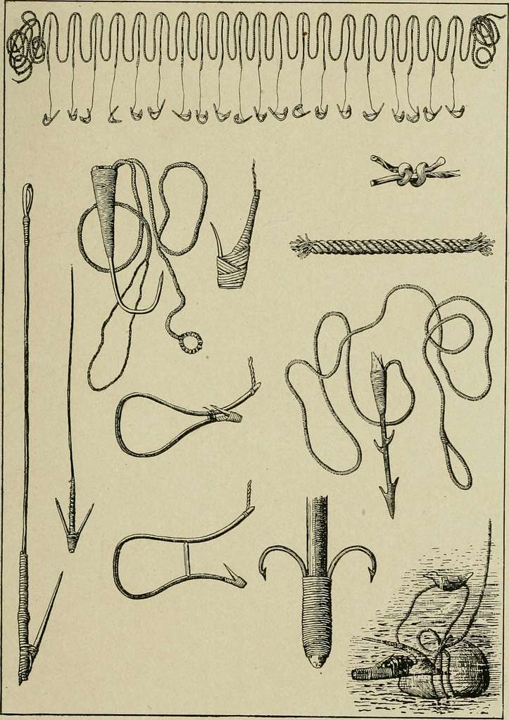 Fishing Equipment illustrations