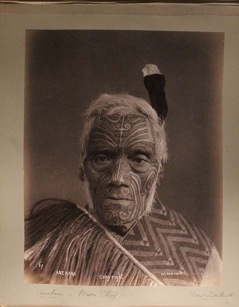 maori-chief-anehana-poses-against-a-plain-background-he-has-a-thin