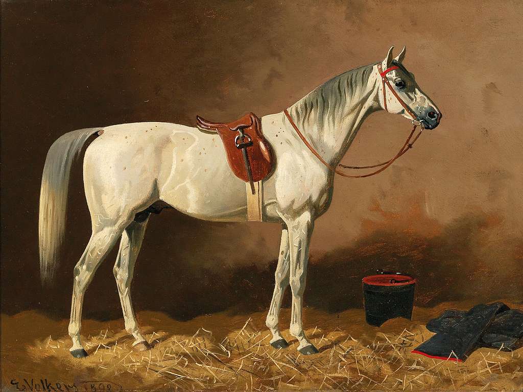 A White Horse by Diego Velasquez  Horse oil painting, Horse painting,  Horses
