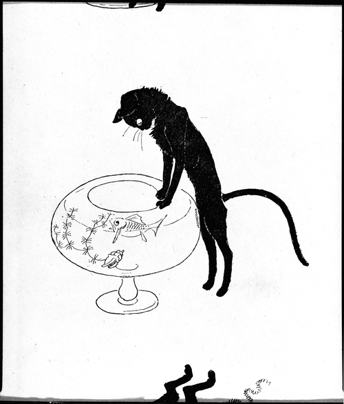 Animal-Cat-Black-cat-watching-fish-bowl - PICRYL - Public Domain