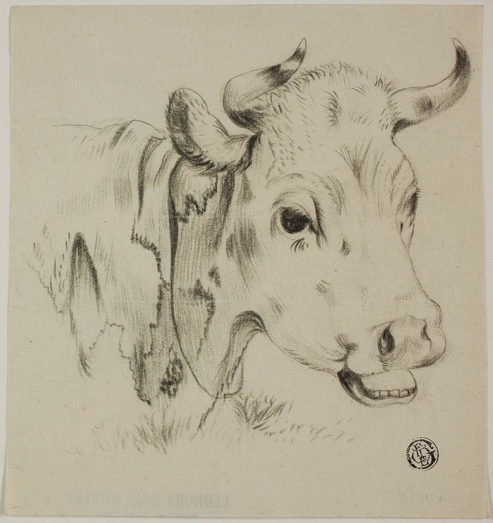2,568 Cow Pencil Drawing Royalty-Free Photos and Stock Images | Shutterstock
