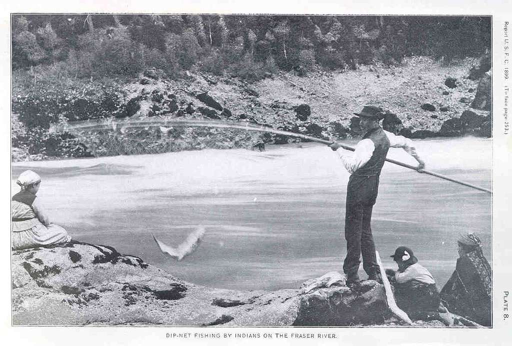 FMIB 33297 Dip-Net Fishing by Indians on the Fraser River - PICRYL - Public  Domain Media Search Engine Public Domain Search