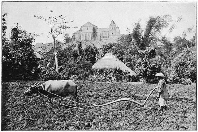 Carabao Harnessed To Native Plough Ploughman Village And Church C