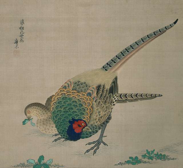 56 Pheasants In Art Image: PICRYL - Public Domain Media Search