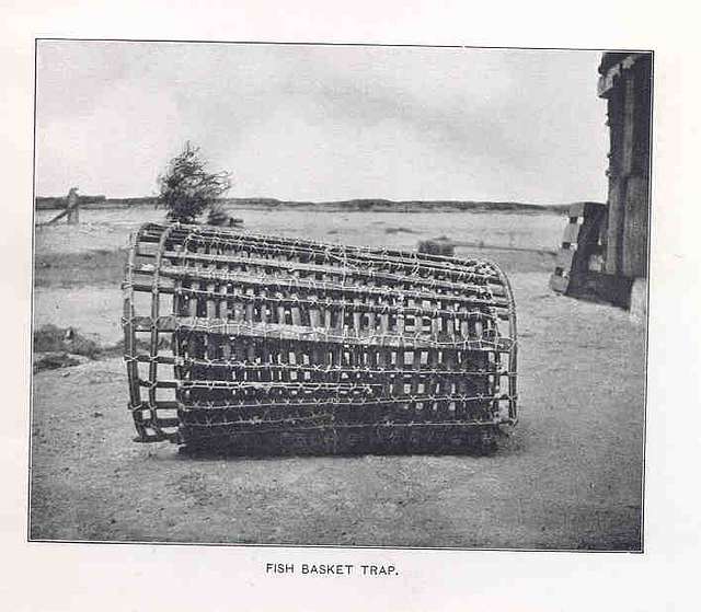FMIB 33830 Fish Basket Trap - PICRYL - Public Domain Media Search