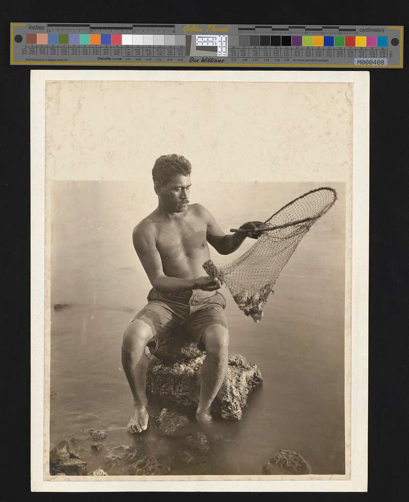 File:Hawaiian man spear fishing, Hana, Maui, ca. 1890.jpg