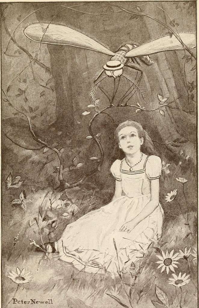 Lewis Carroll, Photographer  PICRYL - Public Domain Media Search