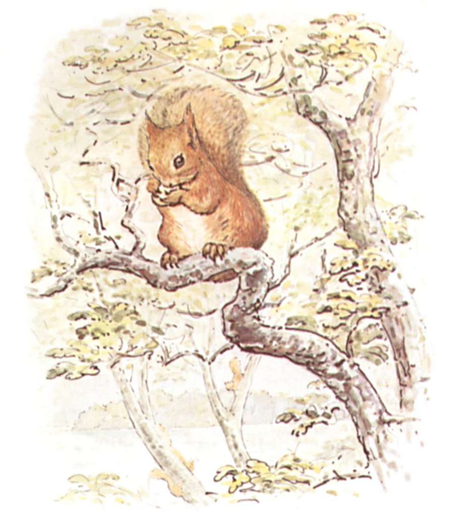 Beatrix Potter - Illustration History