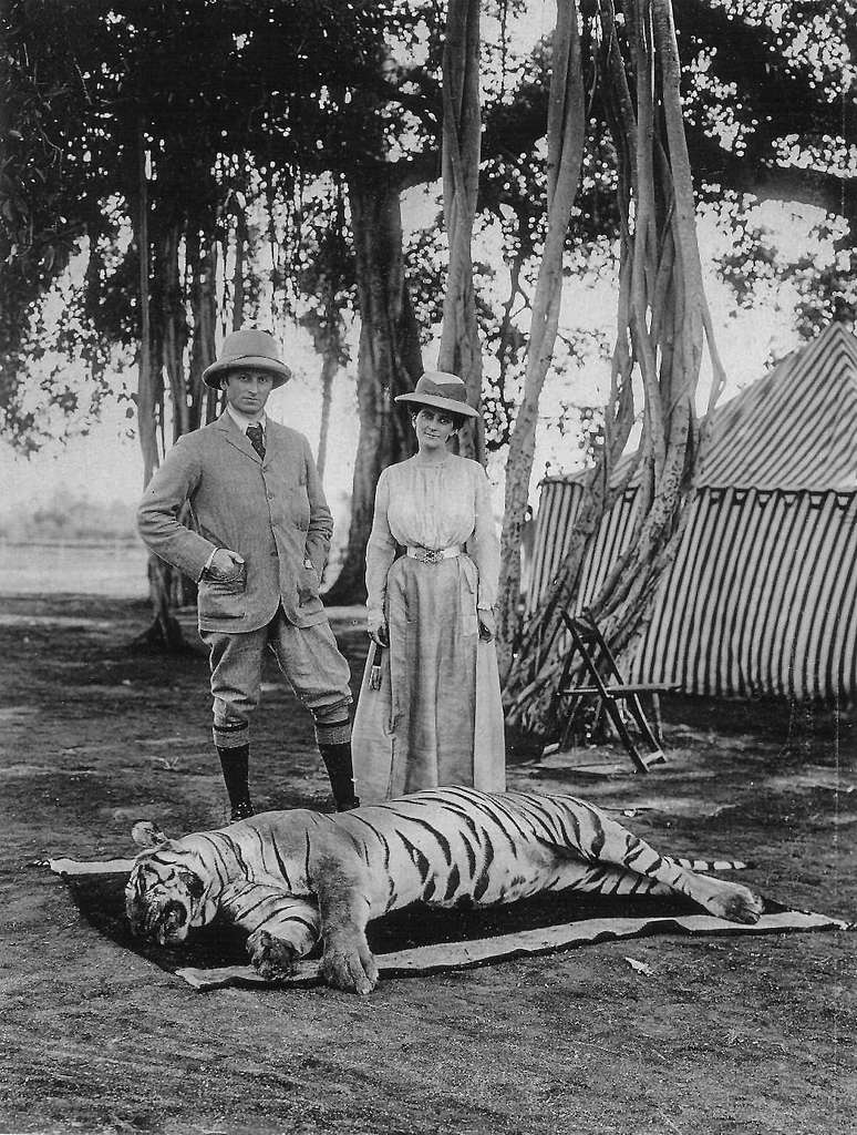 Image of King George V Shooting Tigers in Nepal, 1911 (b/w photo