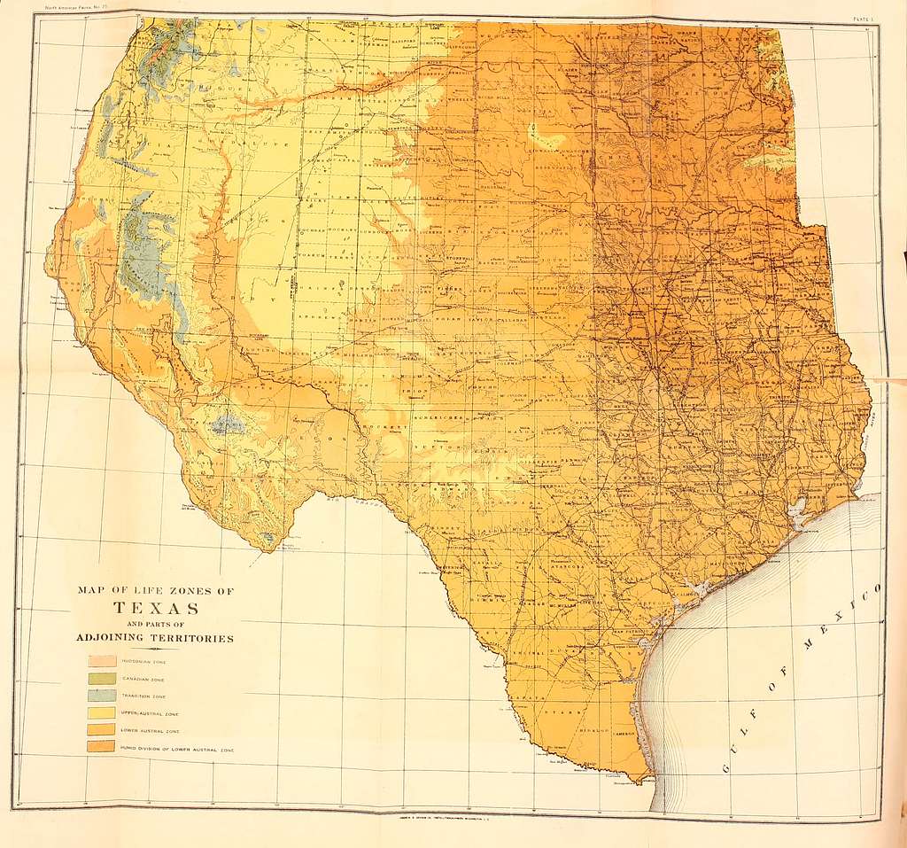 Biological survey of Texas - Life zones, with characteristic species of