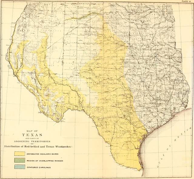 Biological survey of Texas - Life zones, with characteristic species of ...