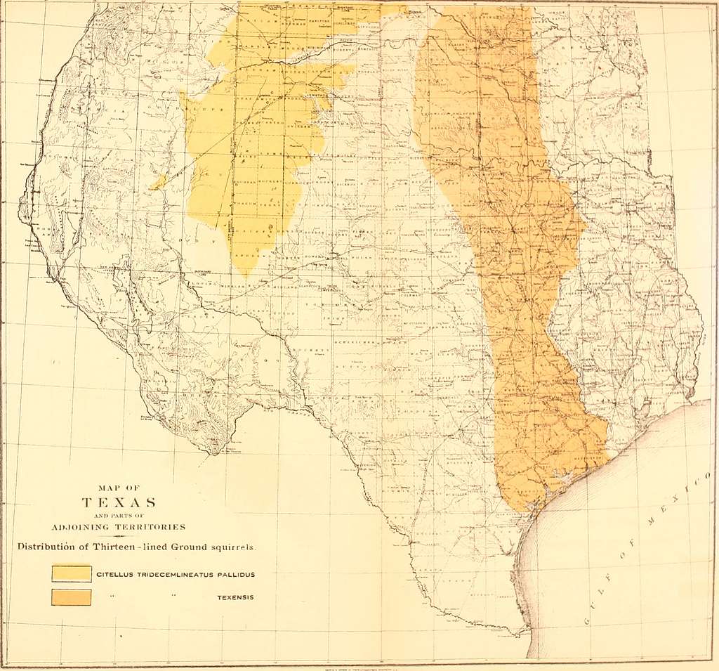 Biological survey of Texas - Life zones, with characteristic species of