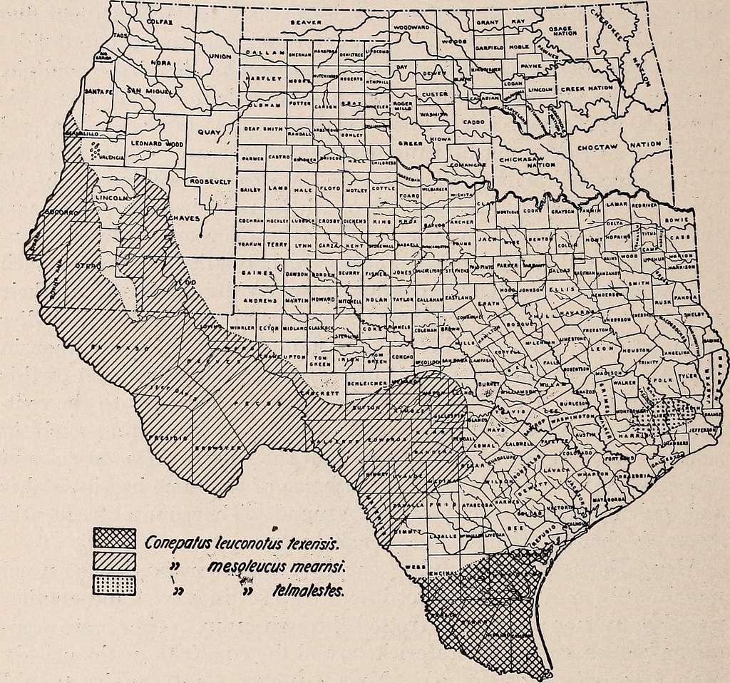 biological-survey-of-texas-life-zones-with-characteristic-species-of