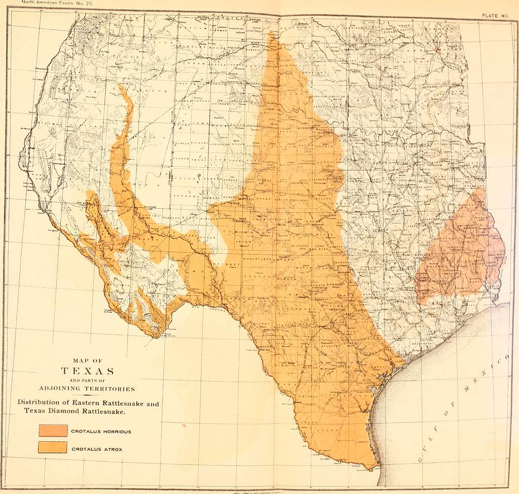 biological-survey-of-texas-life-zones-with-characteristic-species-of-mammals-birds-reptiles