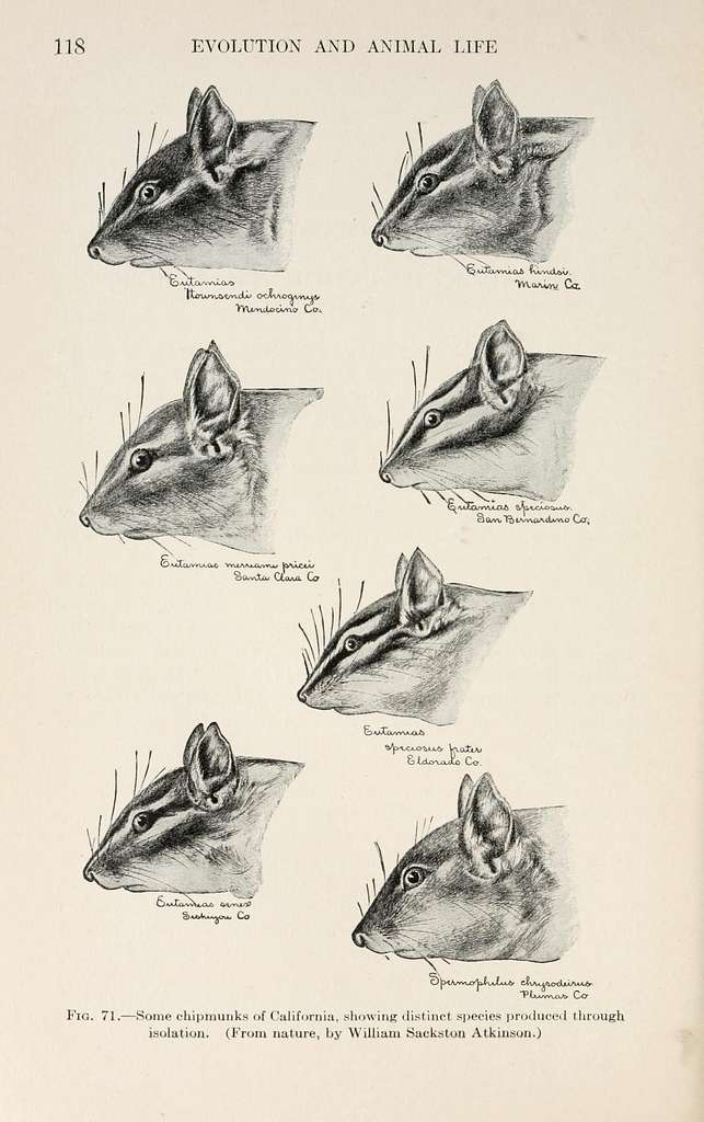 File:The study of animal life (1906) (14770062684).jpg - Wikimedia