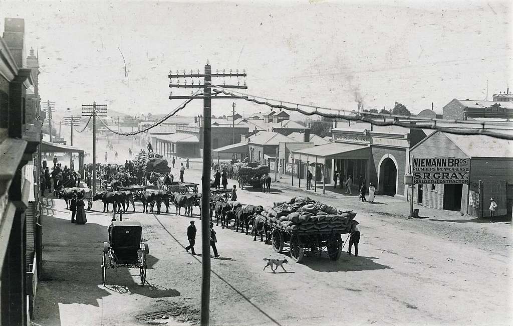 Bullock team in street at Broken Hill, N.S.W. - very early 1900s ...