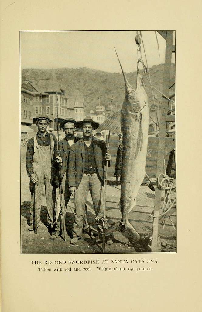 36 Fishermen from hawaii Images: PICRYL - Public Domain Media Search Engine  Public Domain Search