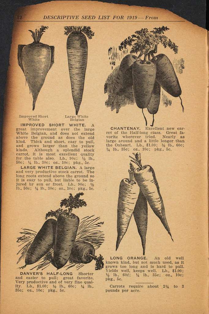 File:Tillinghast Seed Co. materials (Page 19) BHL48171084.jpg